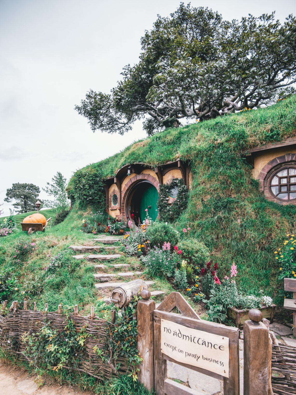 Hobbiton With Kids: Things to Know before You Go