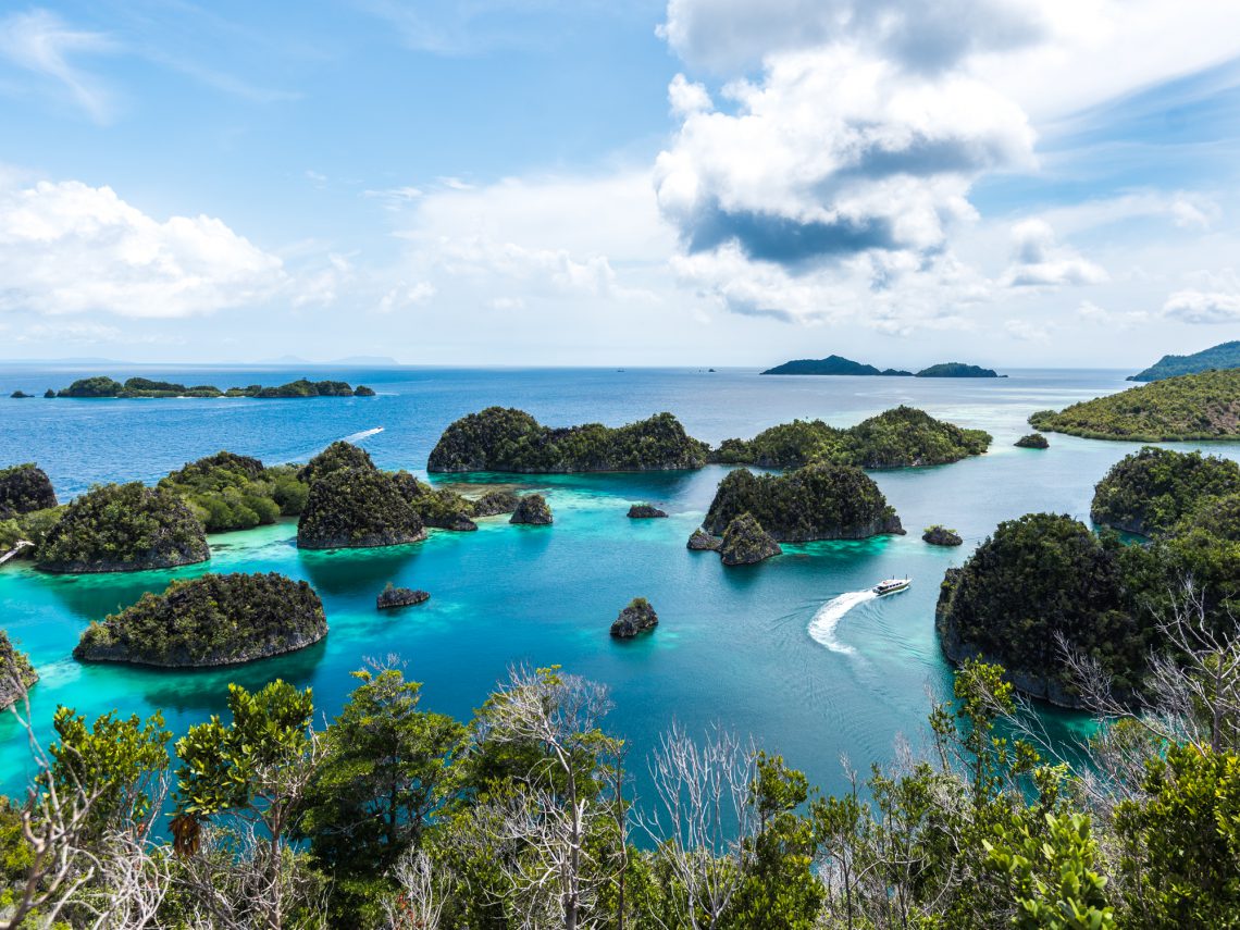 raja ampat - 8 things to know before you go - shurupchik family travel