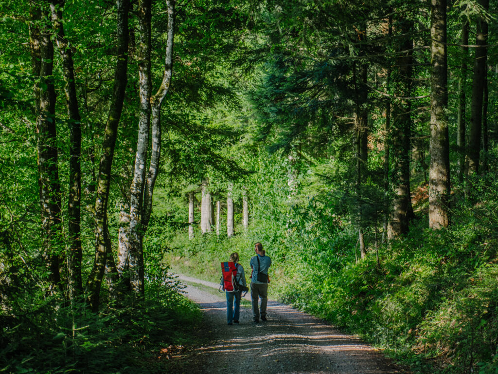 Is the Black Forest a Family Friendly Destination?